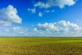 Green Agricultural Farm Field with Blue Sky and White Clouds in the Background,ÃÂ Grassland,ÃÂ Country Meadow Landscape,ÃÂ .World Royalty Free Stock Photo